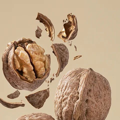 Hương óc chó