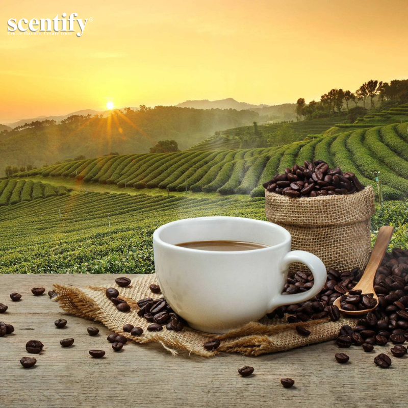 Hương cà phê giúp chuẩn hoá hương vị