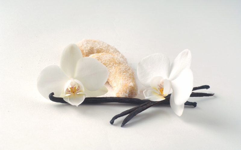 Hương Vani – Lựa Chọn Hoàn Hảo Từ Hương Liệu
